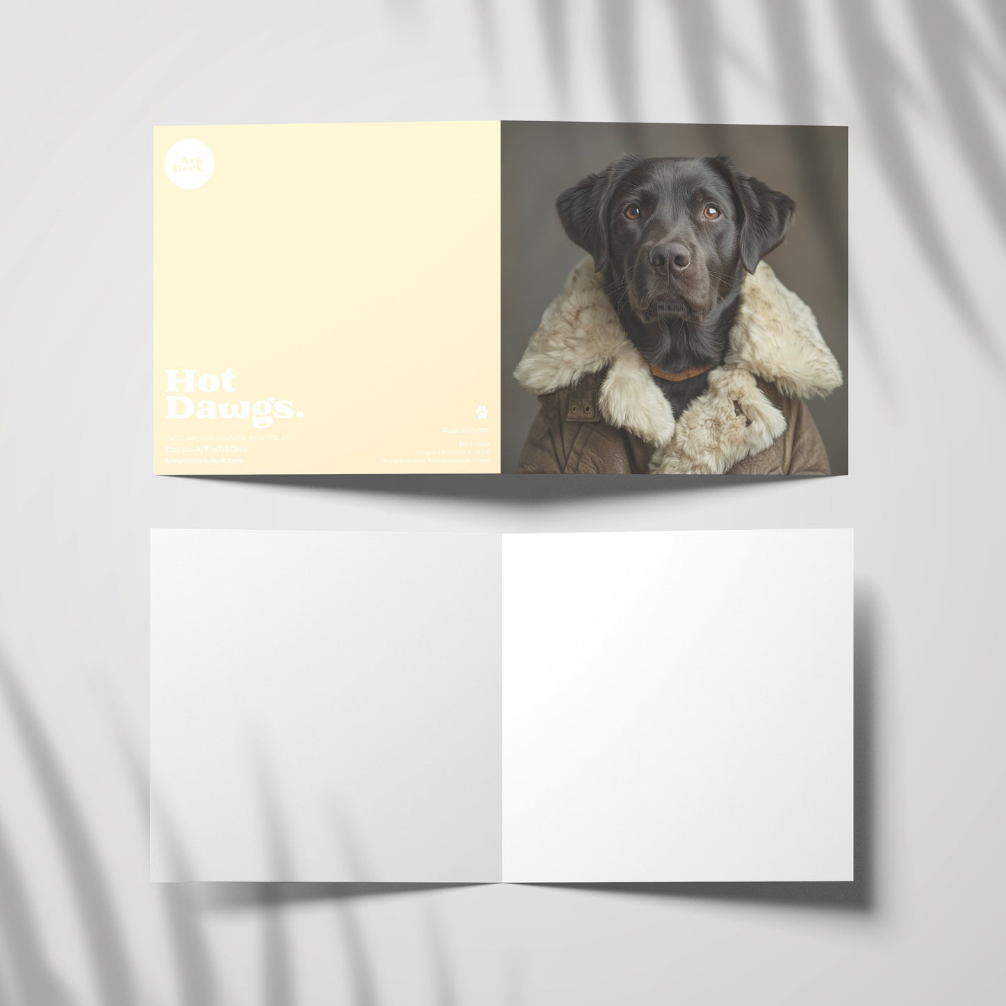 Black Labrador Greetings Card